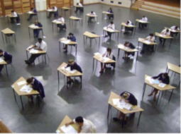 CellDetect Schools